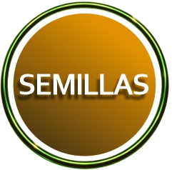 semillas